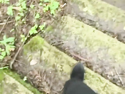 原始森林里足交小姨子被后入爆操抱起来狂插内射骚逼！
