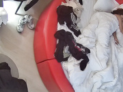 流出酒店偷拍❤️丸子头眼镜少妇下班幽会男同事偷情趁着男同事养足精神后翻身骑坐榨取