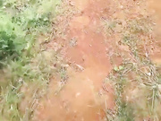 接开裆黑丝小姨子回村里 车上没有忍不住直接把她强上了！
