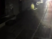 青州古城深夜炸裂！一对情侣胆大包天，竟在古街小巷上演“活春宫”！