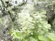 在野外水库边上和亲姐姐露营钓鱼，看着四下无人脱裤子直接激情开操